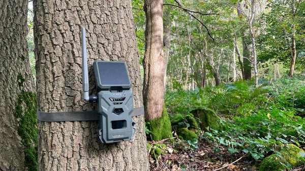 Trail Cameras