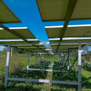 Canadian Solar 410W Solar Panel Price Kenya