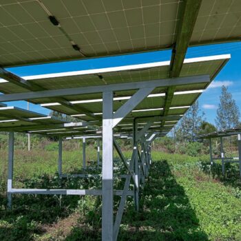 Canadian Solar 450W Solar Panel Price Kenya